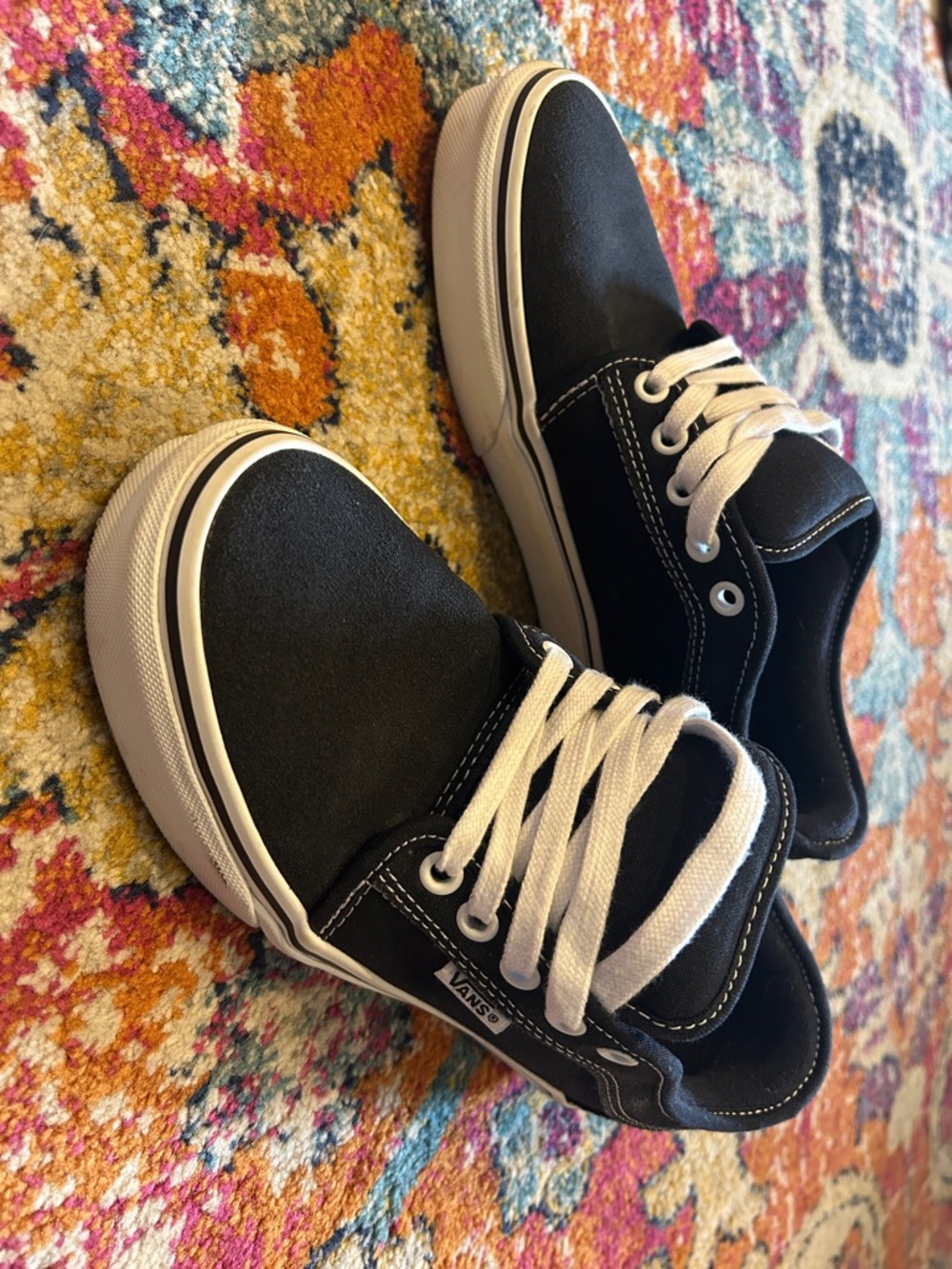 Vans Black and White Low-Top Skate Sneakers